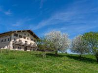 Blühende Obstbäume bei Bauernhaus in Hochstätt am Chiemsee